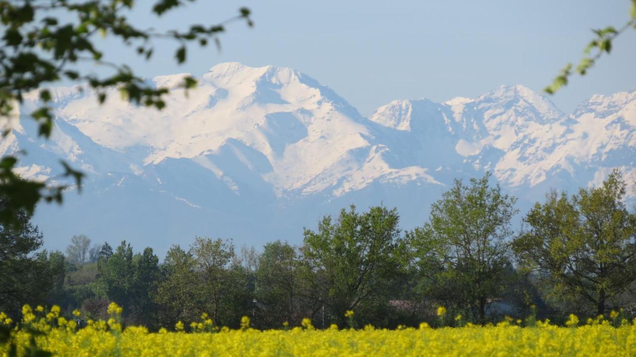 Gite La Tourasse Les Tournesols Lamasquere Exteriér fotografie